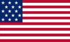 VPN Flag